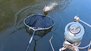 Tiny Baits finally get me some fish!