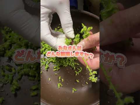 菜園の境界線か天然石か？選択してください。  庭園