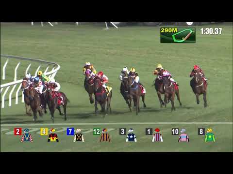 8/12/2021 (242) Fa Fa - Vincent Ho