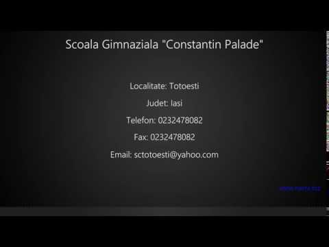 Scoala Gimnaziala "Constantin Palade" Totoesti