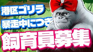 【参加型】モンハン予定だけどスプラ3、レイダース、スマブラのどっかを適当に参加型🦍