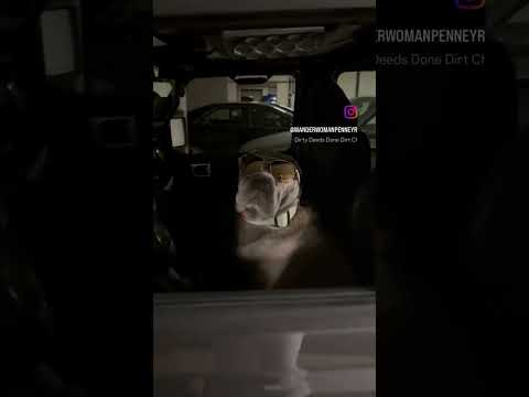 Beware, car thief on the loose 🤣🤣