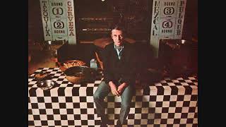 Gary McFarland  - She Loves You