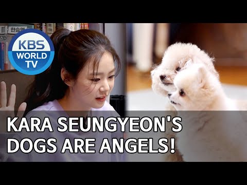 KARA Seungyeon's dogs are angels! [Dogs are incredible/ENG/2020.06.10]