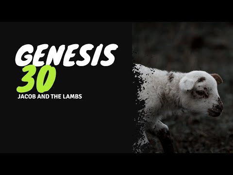 Jacob and the Speckled Sheep: Genesis 30 Explained