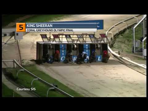 2019 OLYMPIC FINAL - KING SHEERAN