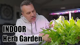 Thumbnail for video: Growing An INDOOR Herb Garden