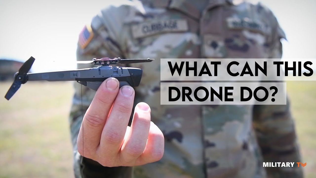 What can a Black Hornet drone do?