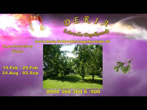 30.01.2019 Das keltische Baumhoroskop Geburtsdaten:19. -29.Februar und 24.August - 2.Sep KIEFER