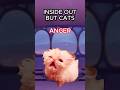 CAT MEMES INSIDE OUT BUT CATS Cat Catlover Catvideos Insideout Shorts