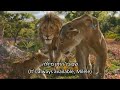 Mufasa The Lion King Milele Hebrew Subs Trans