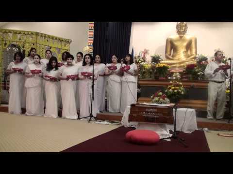 Marukathare Minispure - HBV 2010