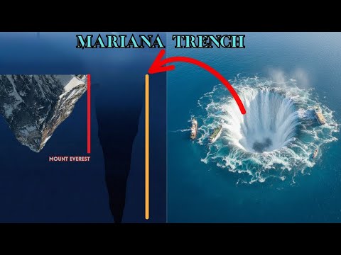 Unbelievable Creatures Living 10,000 Meters Below the Ocean!