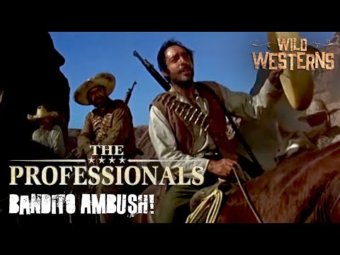 The Professionals | Bandits Think They Have An Easy Mark. They Were Wrong! | Wild Westerns