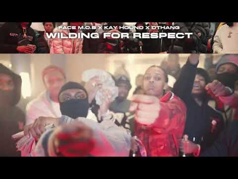DThang X Kay Hound X Face Hound - Wilding For Respect (Audio)