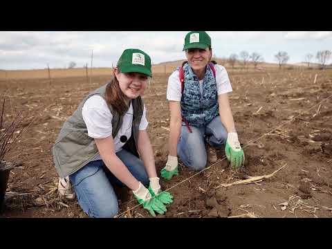 Împăduriri pe terenuri agricole degradate