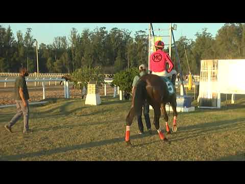 CARRERAS SINT MELO 210708 c08 1° HIL MANAGER