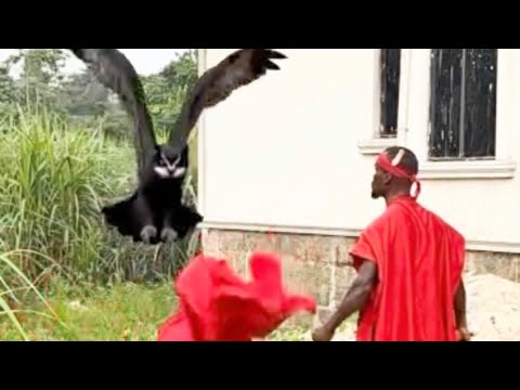 Mysterious att@ck on Efosa blac the spir|tual kingdom held to captive by Prophet Danny & Angel Pablo