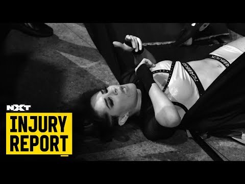 Dakota Kai, Fandango, & Travis Banks Listed On 12/12 NXT Injury Report