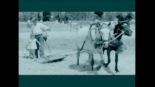 Antiguas profesiones y costumbres de la Sierra de Madrid, Navacerrada | GeneracionNatura.org