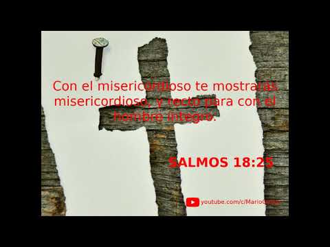 SALMOS 18:25
