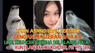 Download lagu masteran kombok juara, lipri, kelincer, gereja, belalang, ciblek AK47, kuntilanak, helikopter mp3 Download lagu masteran kombok juara, lipri, kelincer, gereja, belalang, ciblek AK47, kuntilanak, helikopter mp3