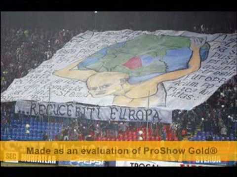 PELUZA SUD STEAUA BUCURESTI  [PREZENTARE]