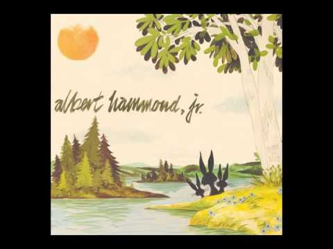 Albert Hammond Jr - In Transit