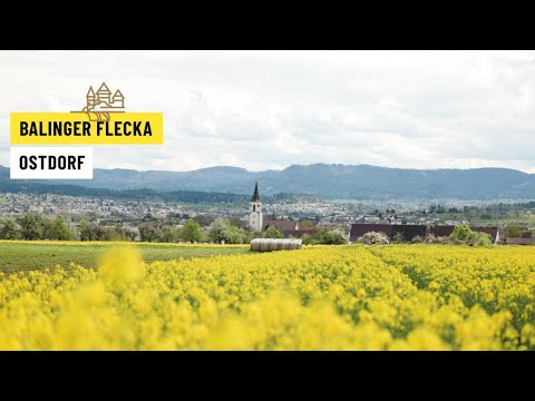 Balinger Flecka Ostdorf