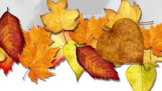 ENTRE UN HOLA Y UN ADIÓS - JOAN MANUEL SERRAT