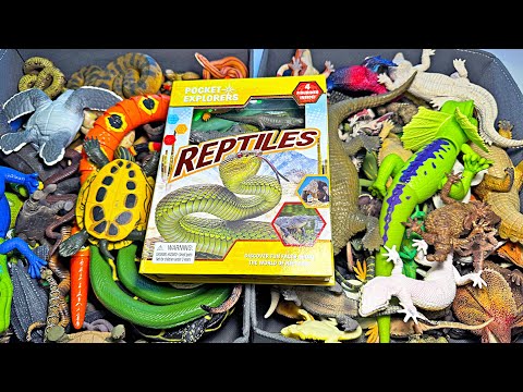 Reptiles Toys - Crocodiles, Alligator, Chameleon, Iguana, Snake, Cobra, Komodo Dragon, Sea Turtles