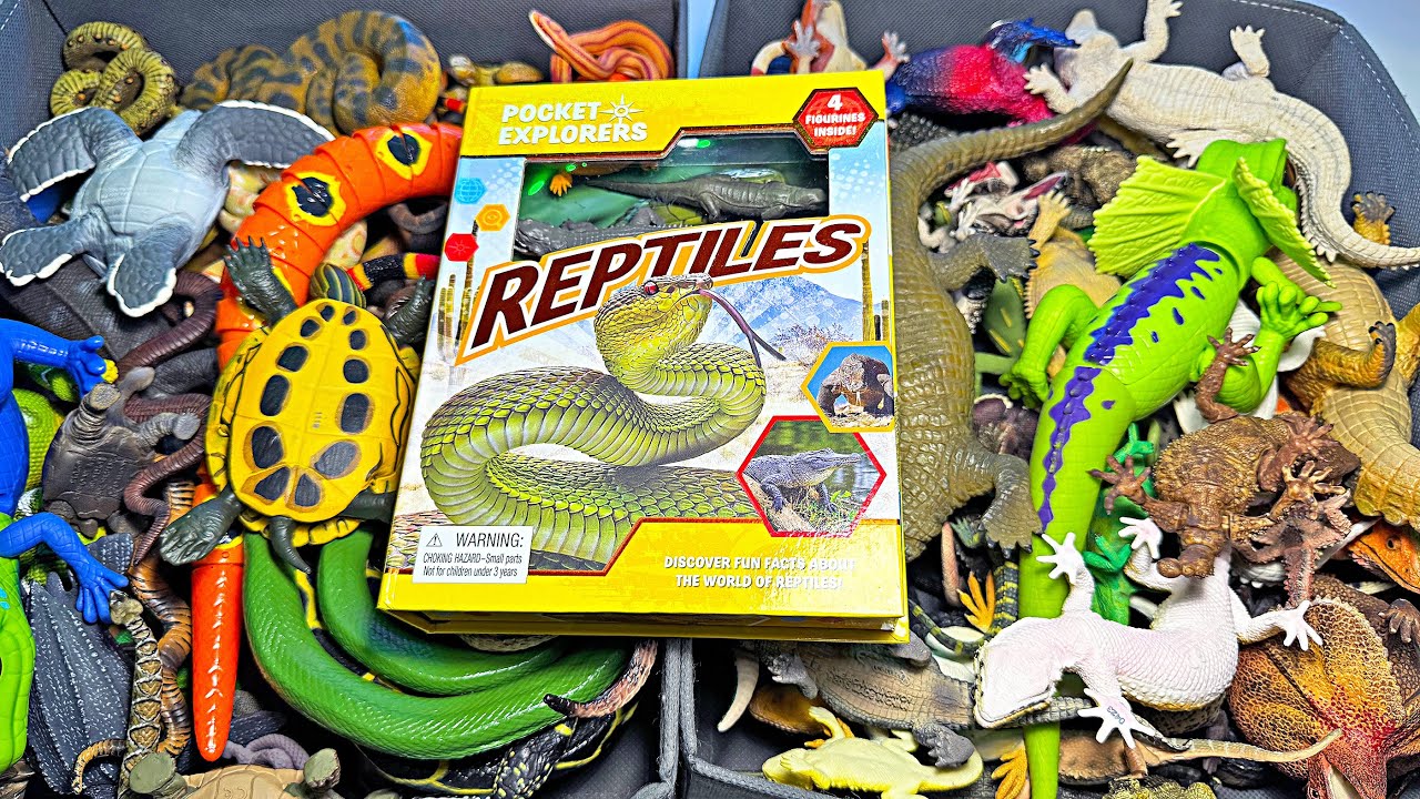 Reptiles Toys - Crocodiles, Alligator, Chameleon, Iguana, Snake, Cobra, Komodo Dragon, Sea Turtles