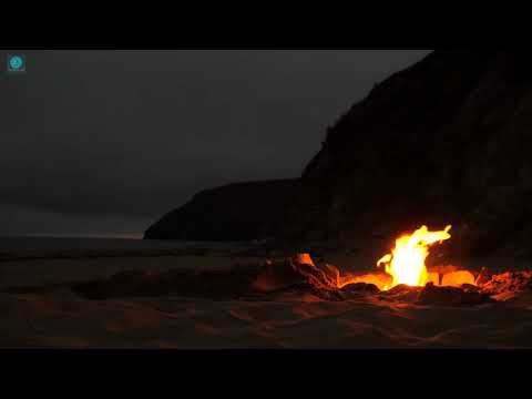 Campfire and Ocean Waves on a Secluded Beach at Night | Relax, Sleep, Focus, and Study | 5 Hours