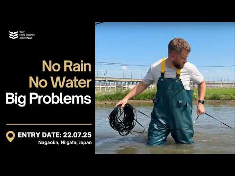 I Witnessed the Real Struggles of Koi Breeding in Japan | T.N.J. | EP#102