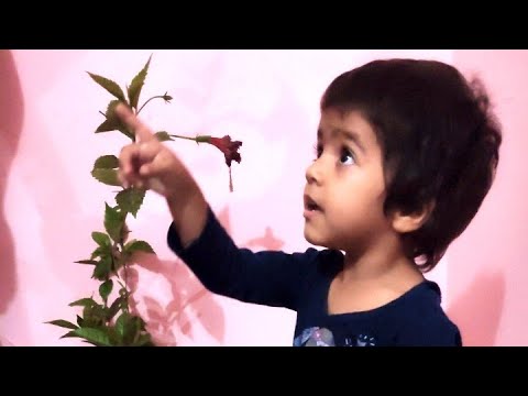 pragya flower lagaygi 🥀 #vlogs#video
