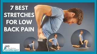 7 BEST Back Stretches for Low Back Pain