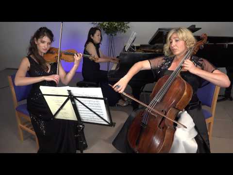Oblivion - A. Piazzolla (ViEtTa  Trio - Yanat Murga, Victoria Balan, Etsuko Shigemoto)