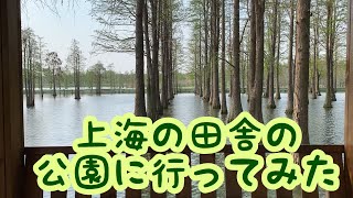 上海の田舎の公園に行ってみた