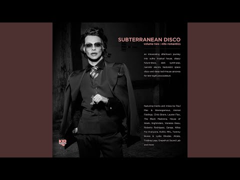 What I Feel (The Nightowl Mix) (Subterranean Disco Edit)