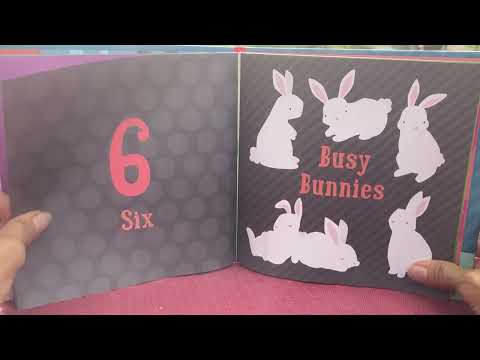 NUMBERS 123’s- A Kathy Ireland Baby My First Steps book