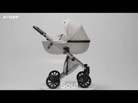 Универсальная коляска 2 в 1 Anex e/type jazz (et-01A)