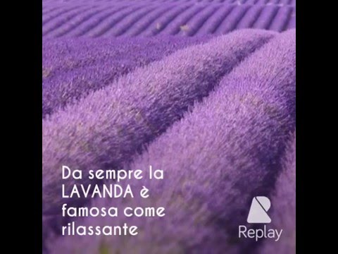 Se è possibile lavarsi allatto di posizione di eczema Cura di dermatite atopic a bambini il dottore di komarovskiya di video