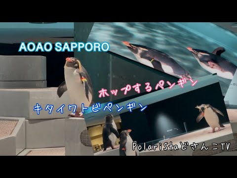 AOAO SAPPORO」のYahoo!リアルタイム検索 - X（旧Twitter）を