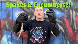 Snakes &amp; Cucumbers?!