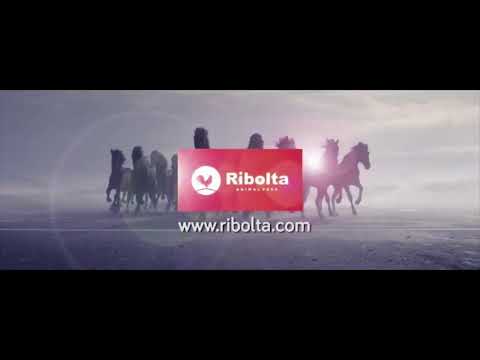 Serie Potros / Clasificatorio Zona Sur de Villarrica