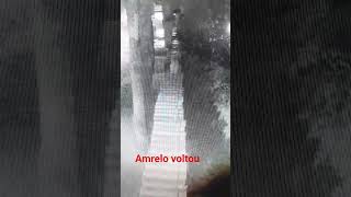 Antes vivia na rua direto