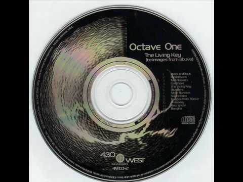 Octave One - Images from Above