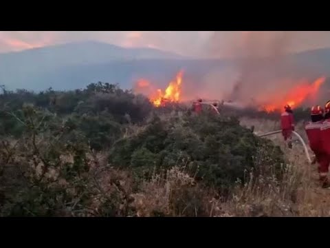 Albanien - Bulgarien: EU hilft bei der Bewältigung von  mehr als 230 Brandherden