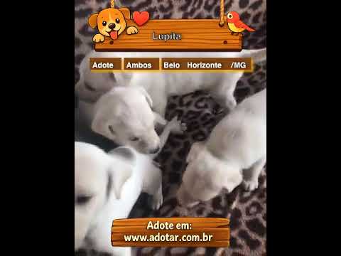 Vídeo de Lupita 