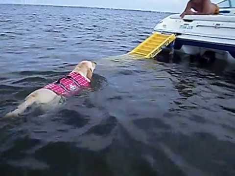 Callie using her Paws Aboard Doggy Boat Ladder